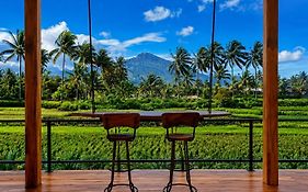 Les Rizieres Lombok